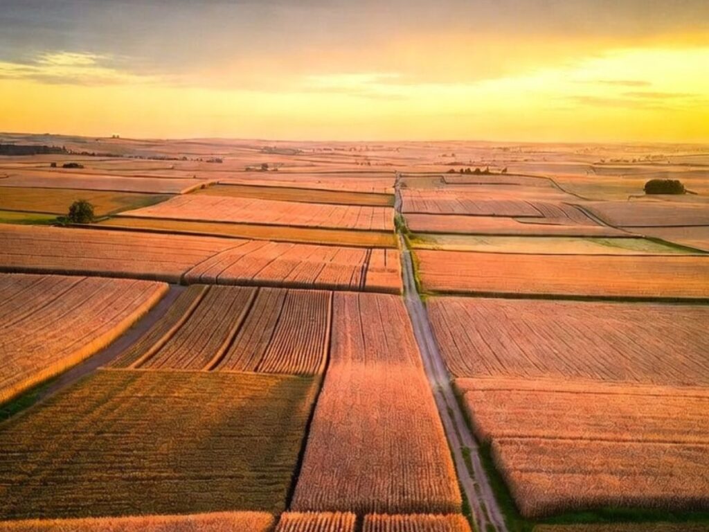 Foreign Investors Now Own 46 Million Acres of American Farmland -- That's the Size of Washington State