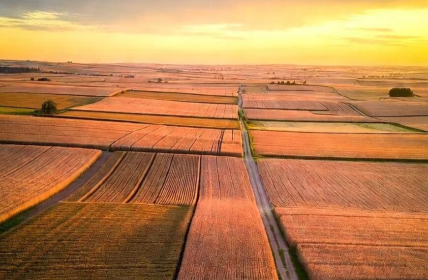 Foreign Investors Now Own 46 Million Acres of American Farmland -- That's the Size of Washington State