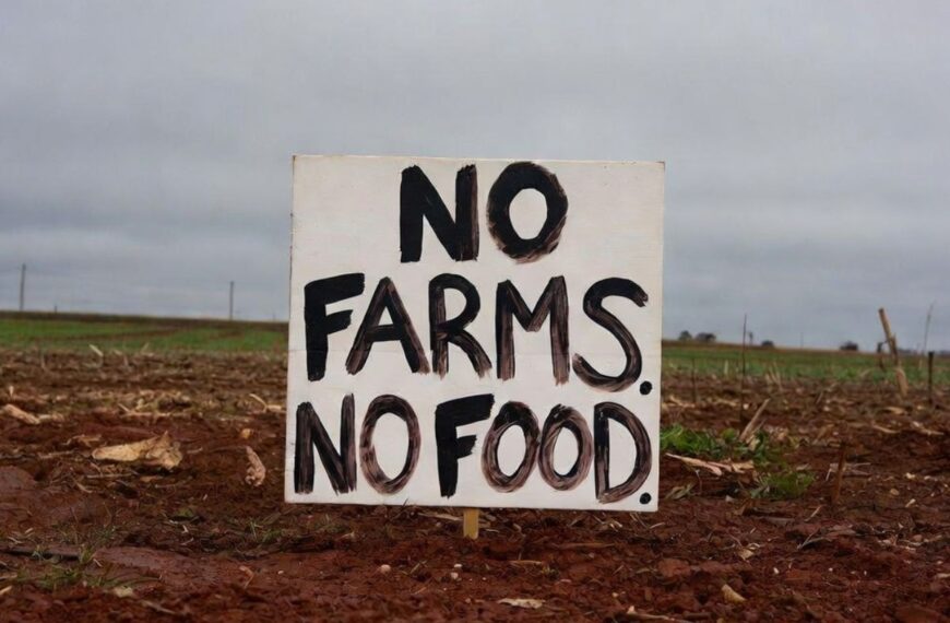 Georgia Power Is Seizing Homes and Farms Through Eminent Domain to Build Power Lines for AI Data Centers